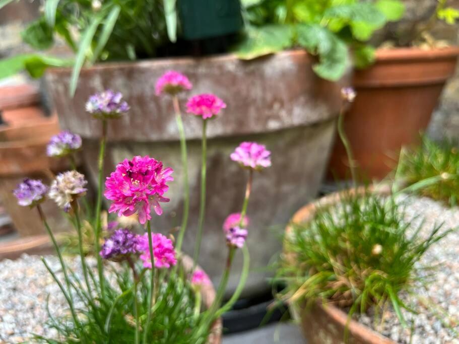 Kings Cross, Self-Contained House & Private Garden Villa London Ngoại thất bức ảnh